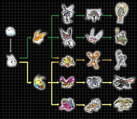 digimon evolution chart next order